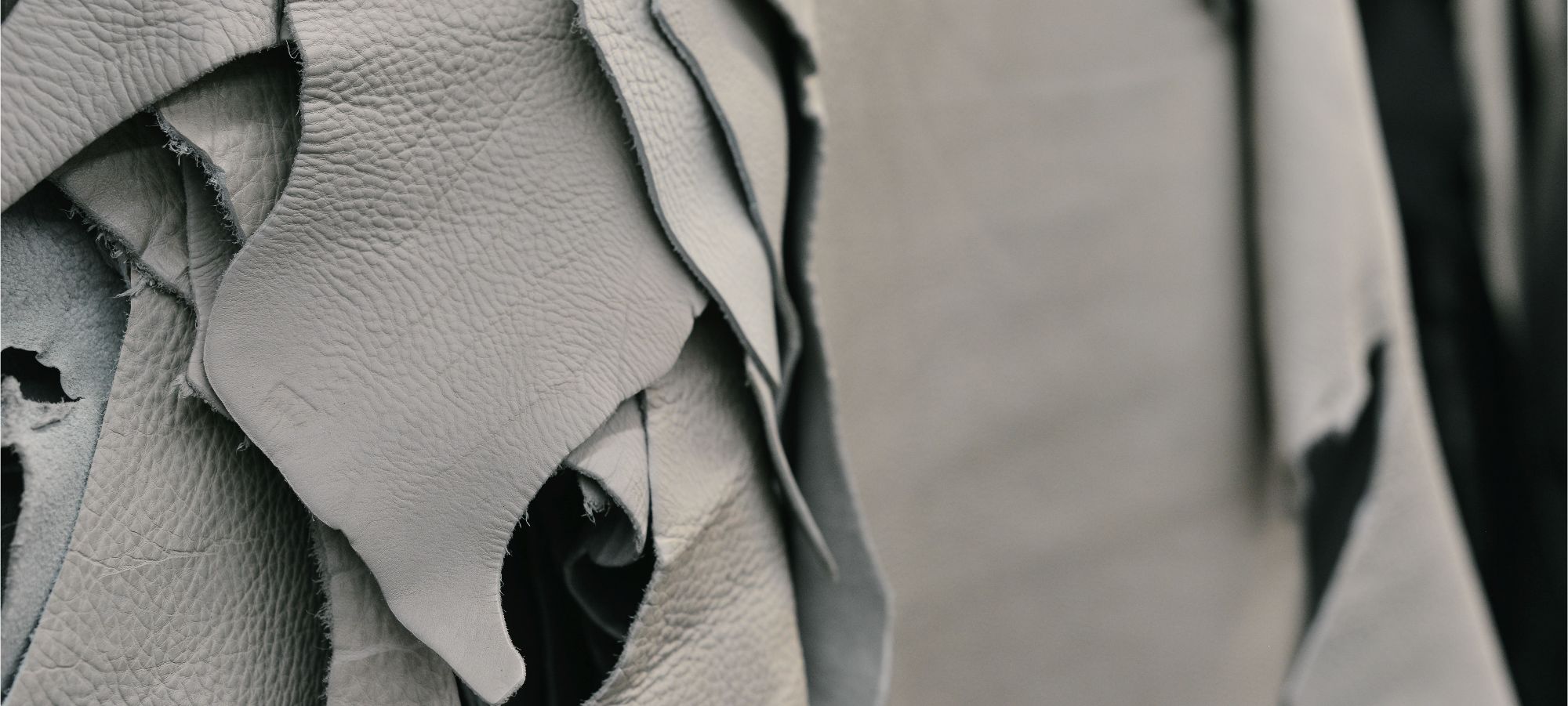 jacquelee leather care